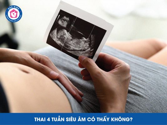 Thai 4 Tuần Siêu Âm Có Thấy Không?