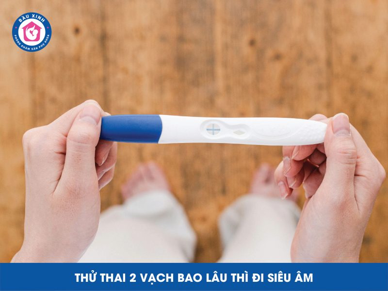 Thử Thai 2 Vạch Bao Lâu Thì Đi Siêu Âm?