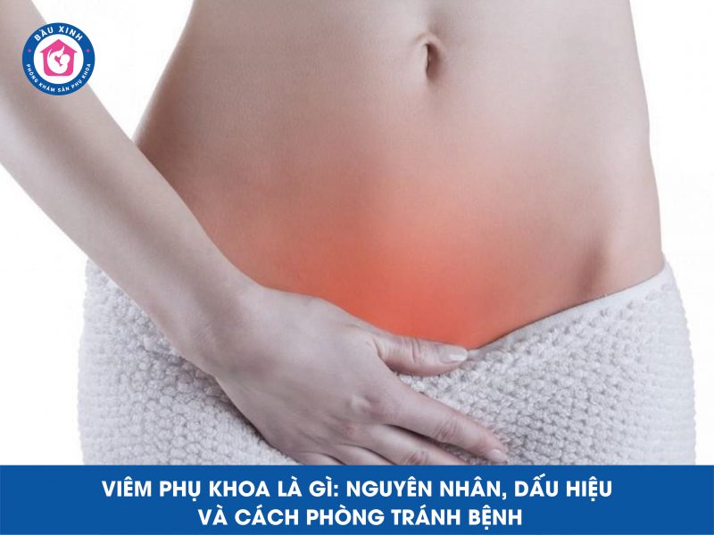 Viêm Phụ Khoa Là Gì: Nguyên Nhân, Dấu Hiệu Và Cách Phòng Tránh Bệnh