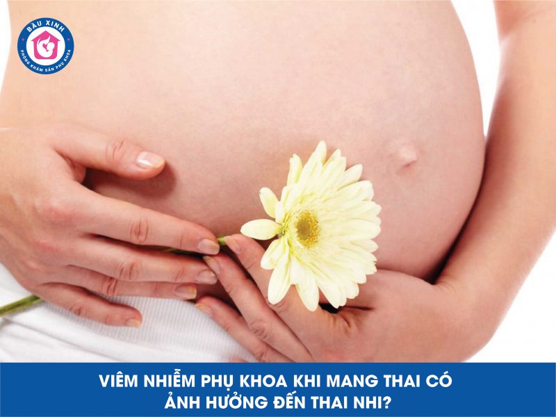 Viêm Phụ Khoa Khi Mang Thai Có Ảnh Hưởng Đến Thai Nhi?